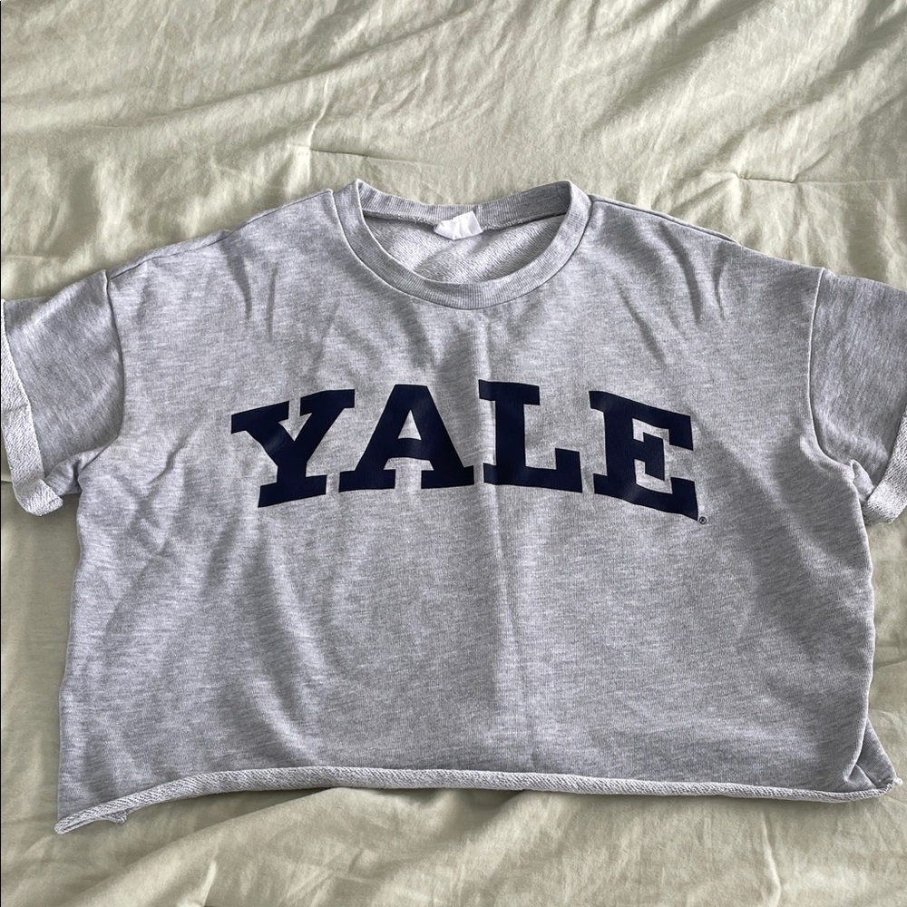 Yale Gray Crop Top